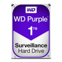 Disco Duro WESTERN DIGITAL WD10PURZ