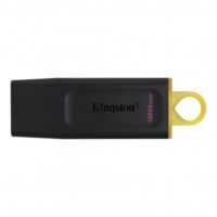 Memoria USB Kingston Technology DTX/128GB